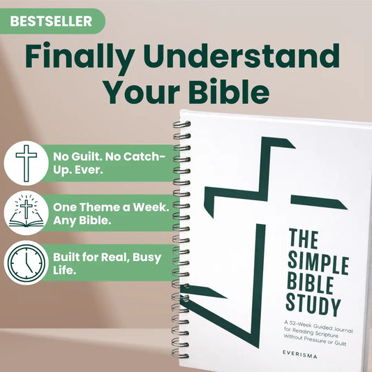 Best Bible Study Guide for Beginners in 2026