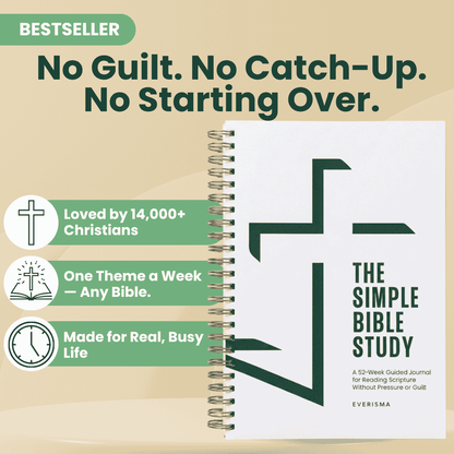 Best Bible Study Guide for Beginners and Women